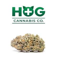 Photograph of product: Triangle Mints | H.O.G. | Bulk Flower