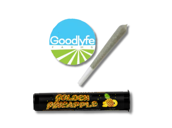 Photograph of product: GOLDEN PINEAPPLE | INFUSED PREROLL