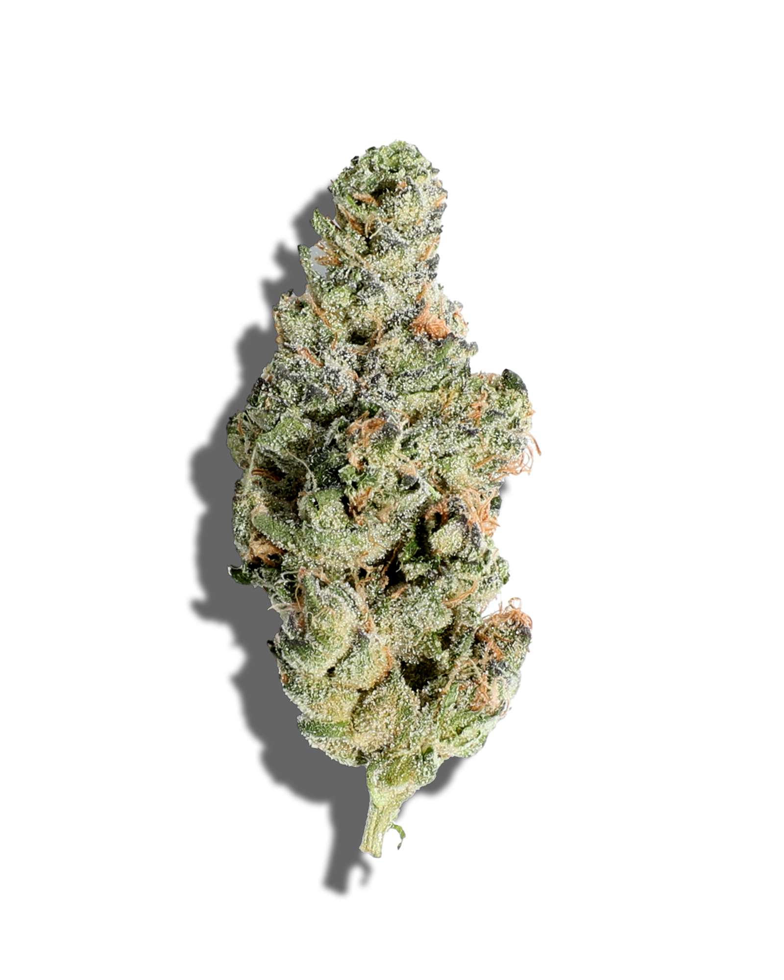Photograph of product: DOSIDOS 3.5G