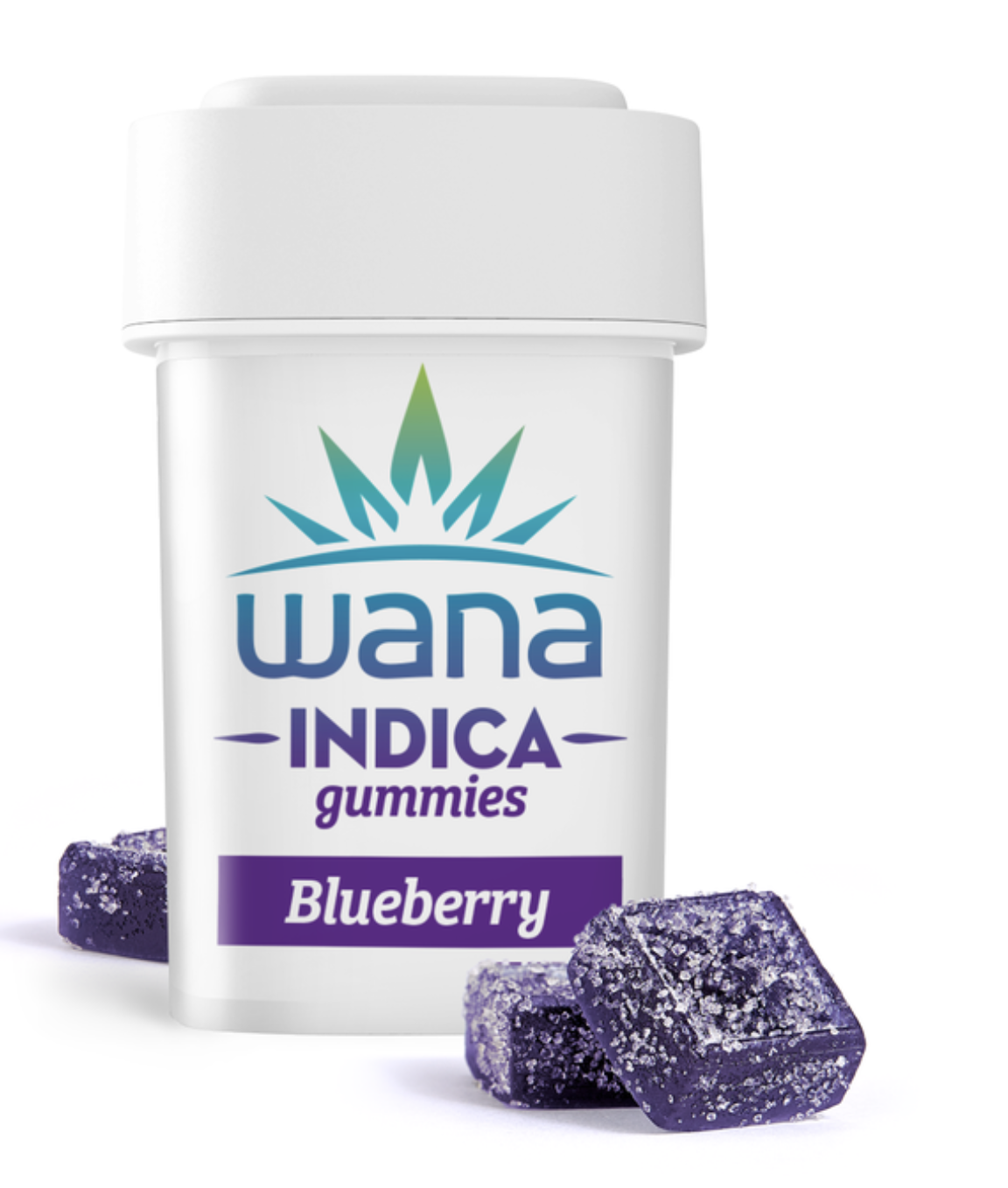 Photograph of product: Classic Blueberry T4.62 (00136) 20pk