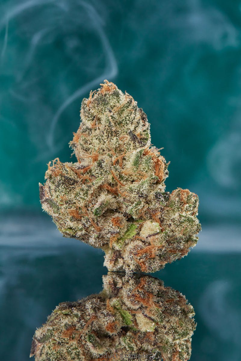 Photograph of product: Hotbox Scotty's Mom 3.5g