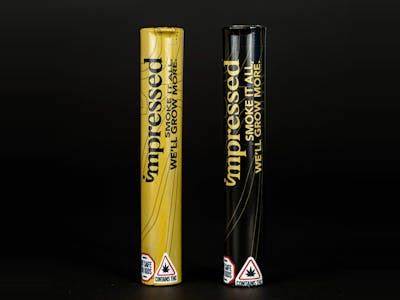 Photograph of product: Wulf Pack