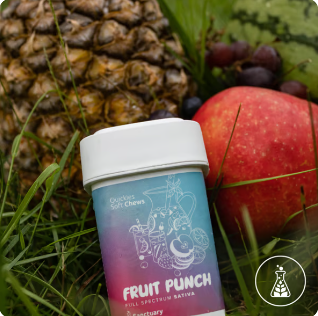 Photograph of product: Fruit Punch Quickies Full Spectrum Fruit Chews 20PK