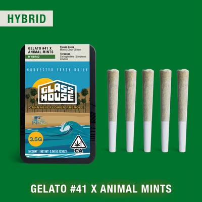 Photograph of product: Gelato #41 X Animal Mints 5 Pack