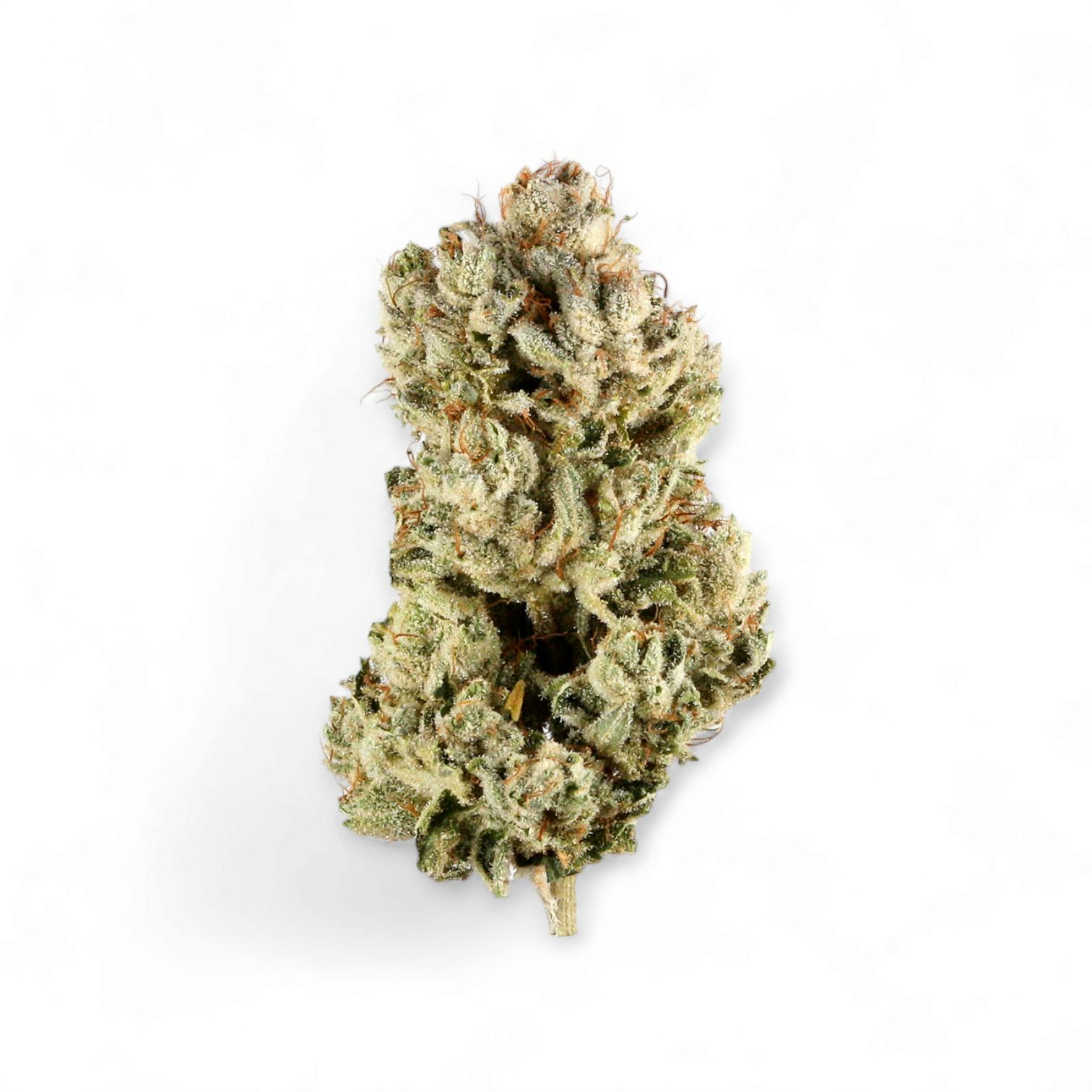 Photograph of product: VOSH - Gorilla Glue #4 Shake (1 oz) - Hybrid