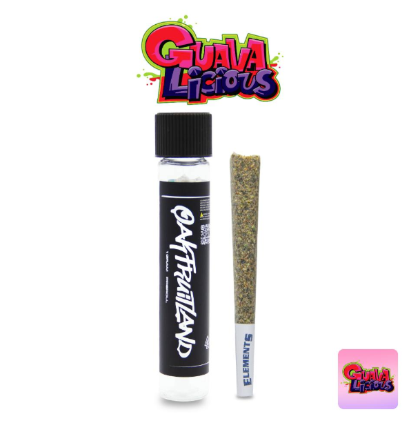 Photograph of product: Guavalicious Pre Roll 1 G
