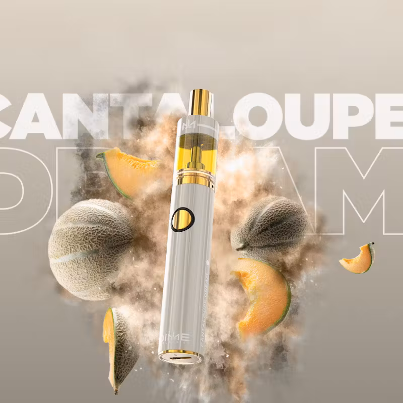 Photograph of product: Dime Industries AIO Vape | 2g | Cantaloupe Dream