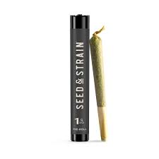 Photograph of product: Twisted Pie - 2 Pack