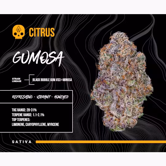 Photograph of product: BOSKY | GUMOSA | 14G | SMALLS