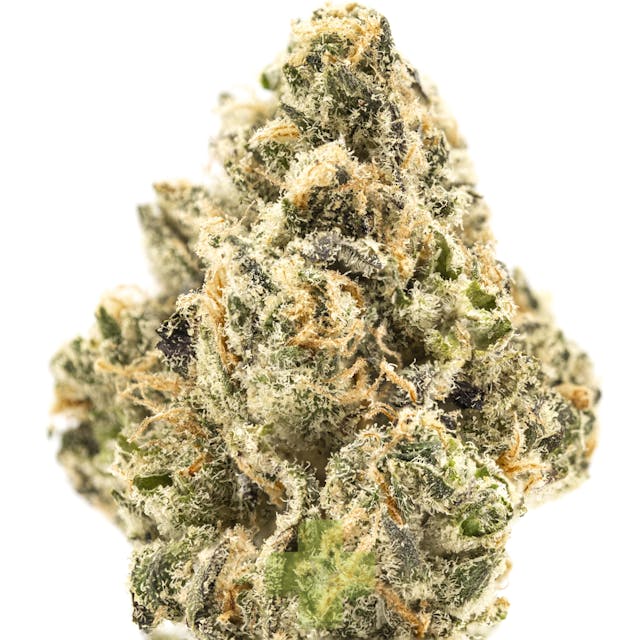 Photograph of product: Tropical Z - Eighth