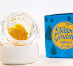 Photograph of product: NATIVE GARDEN - EXTRACT - SUGAR - 1G - Oui'd - CRITICAL KUSH