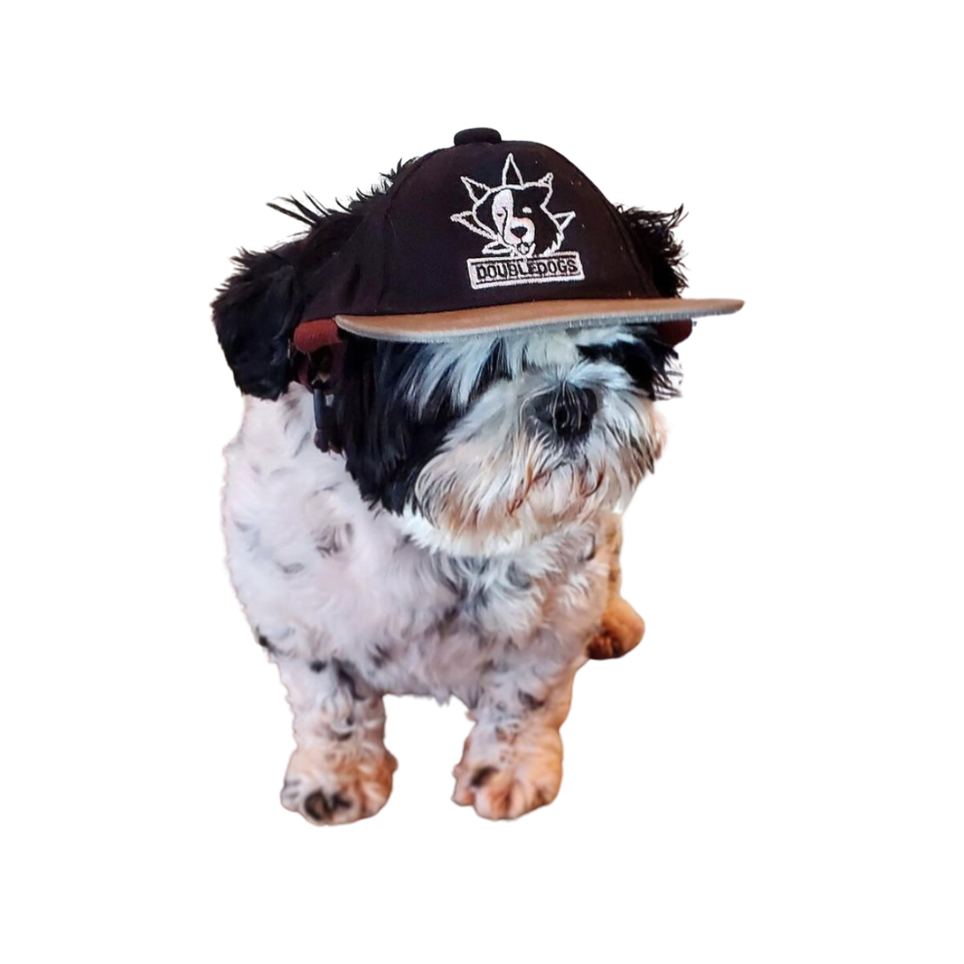 Photograph of product: Dog Hat Small