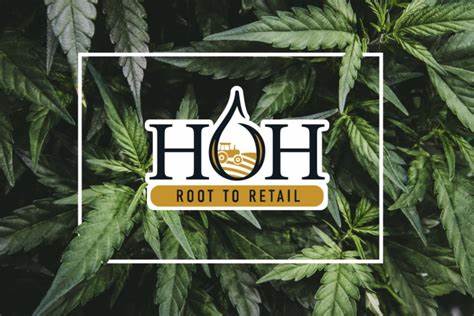 Photograph of Product: Hang Over Hops 1500mg CBD Full Spec