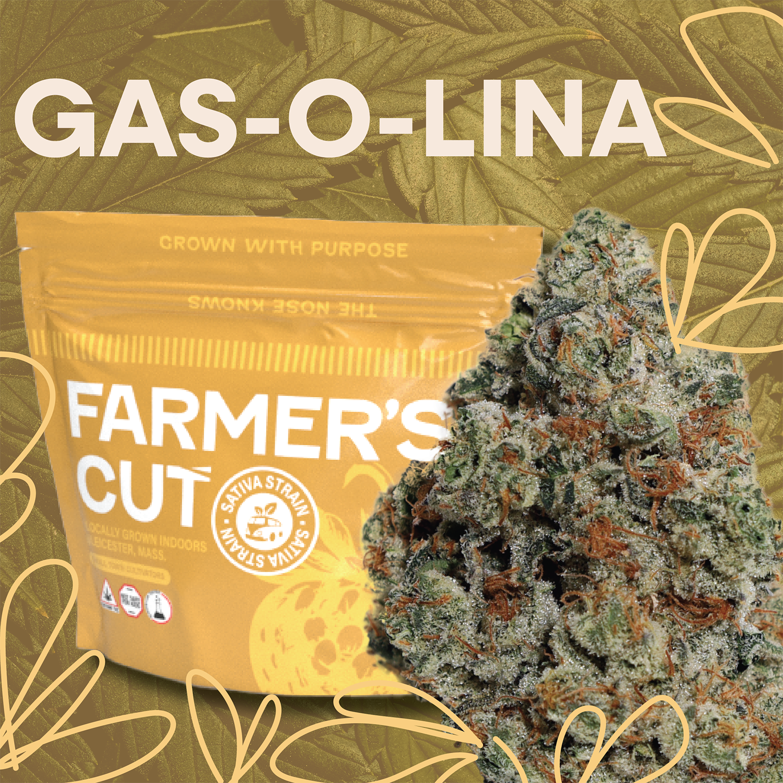 Photograph of product: Farmer's Cut  - Gas-O-Lina - 3.5g