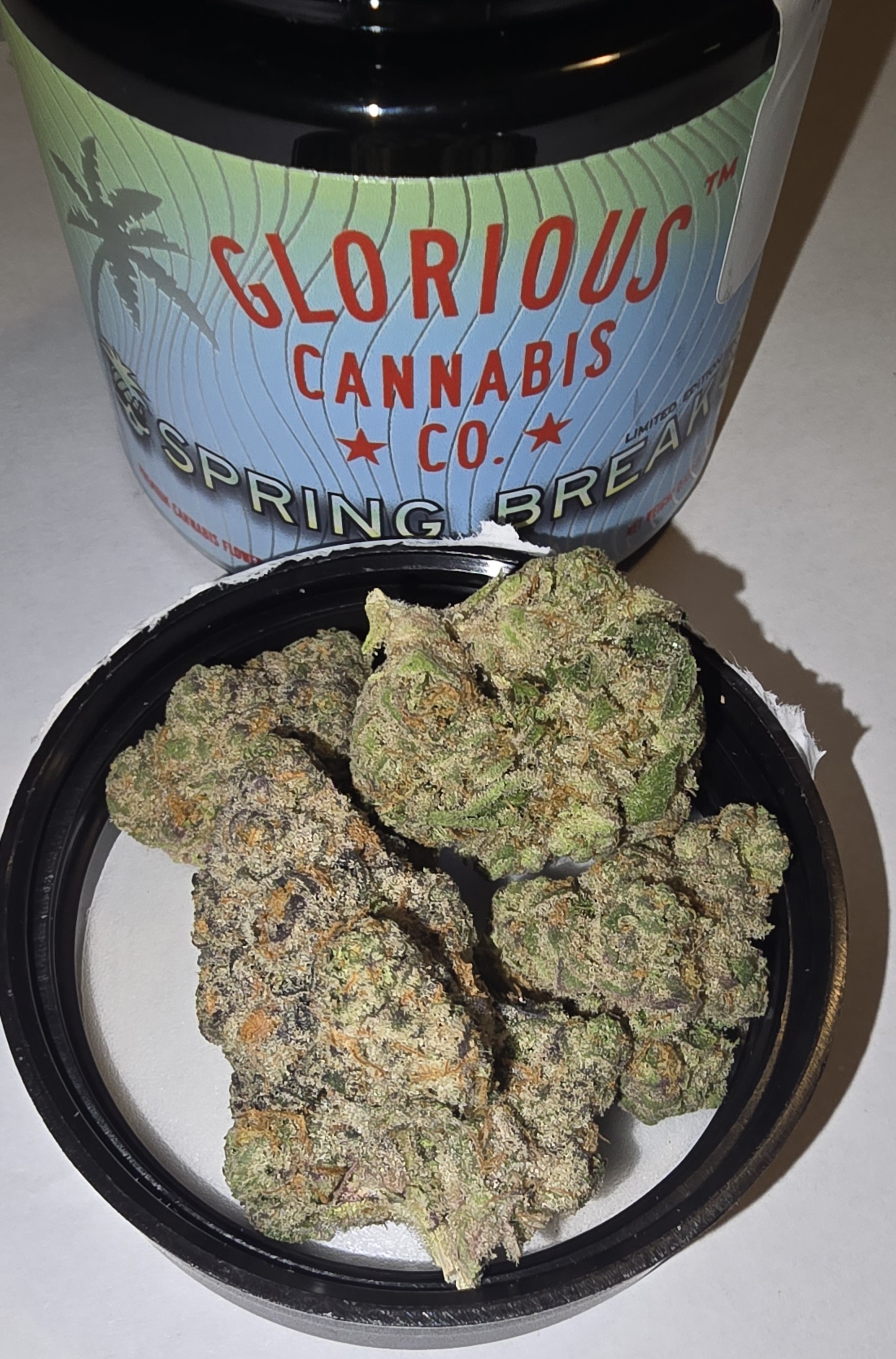 Photograph of product: Corner Store Candy (SH) - 3.5g - Glorious Oui'd