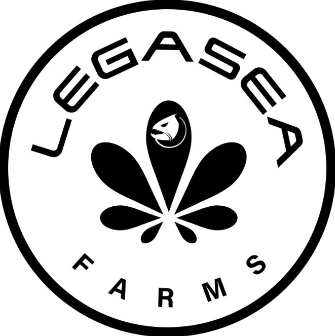 Photograph of product: LegaSea | Trophy Wife | 3.5g Prepacked Flower | REC