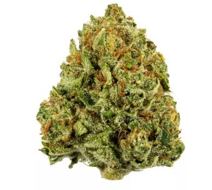 Photograph of product: Green | Chem 91 POPCORN 28g