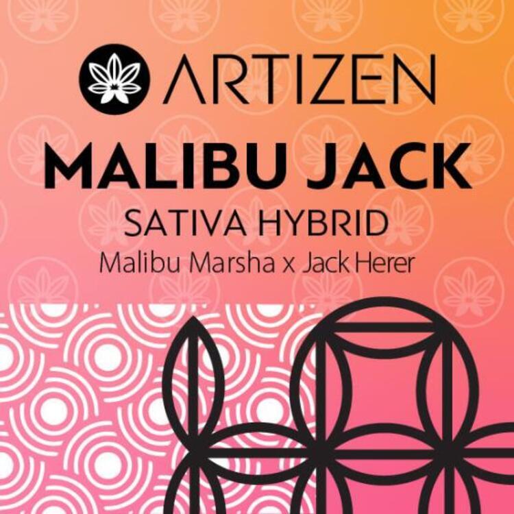 Photograph of product: Artizen - Malibu Jack - 1g