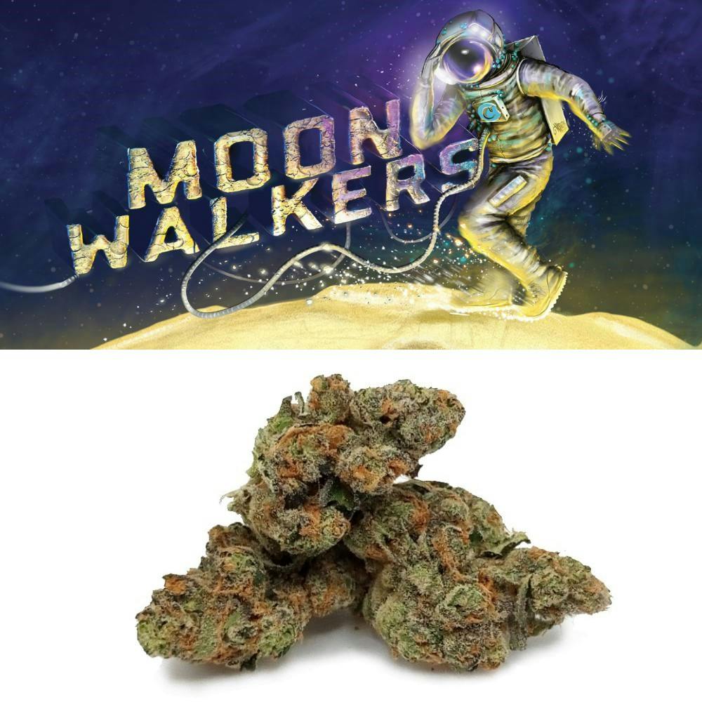 Photograph of product: MOONWALKERS 14G FLOWER