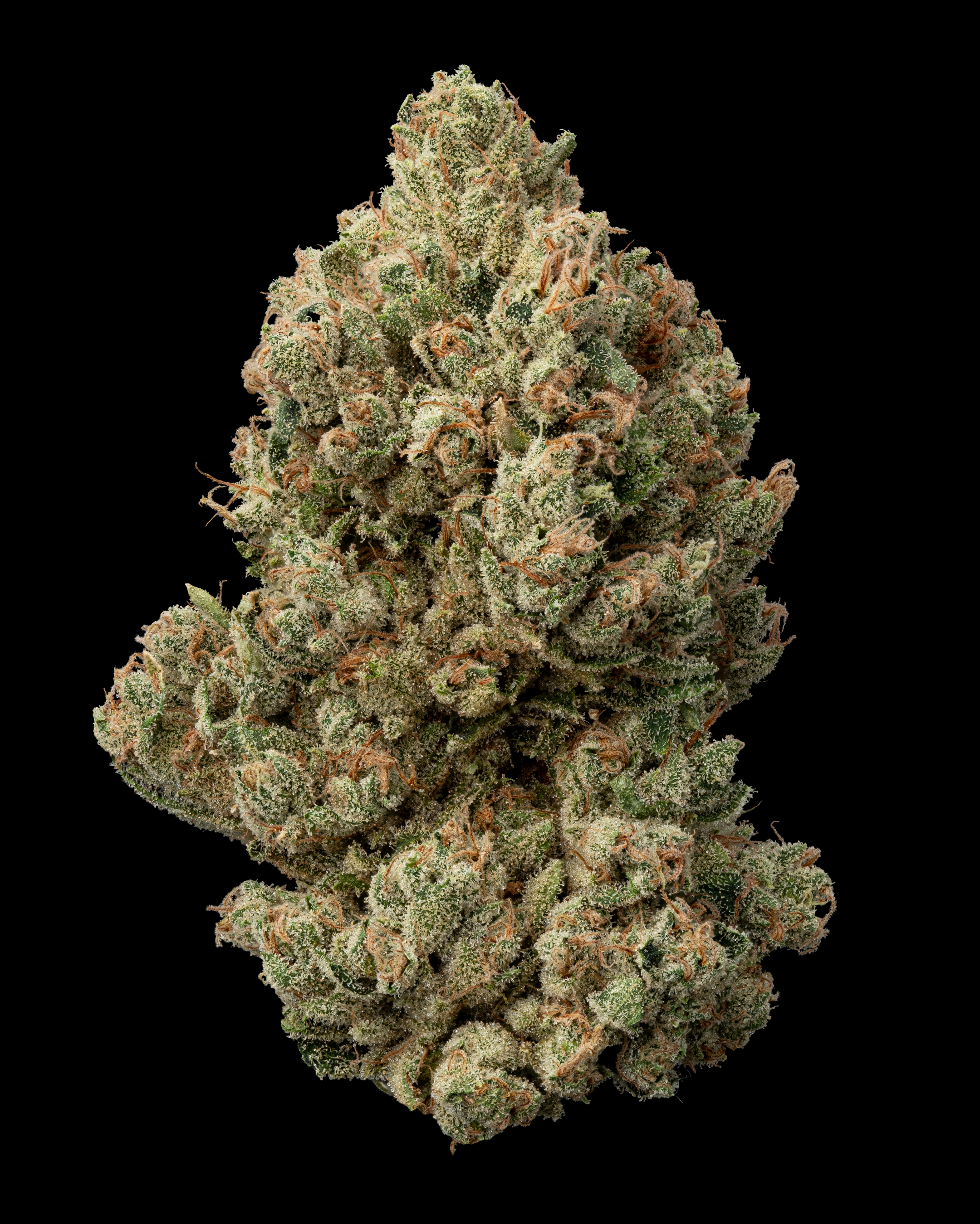 Photograph of product: Skunkfoot Farms: The Big Wroblewski - 28g