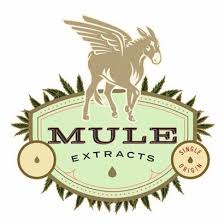 Photograph of product: MULE - The Fivth 5:5:5:5:1 Tropical Punch - 100mg