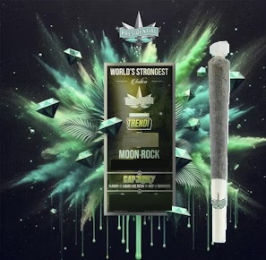 Photograph of product: Presidential | Cap Junky (H) IPR