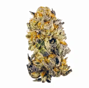 Photograph of product: Platinum Shelf - Chem Gem (H) - 28g