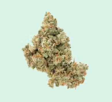 Photograph of product: SELECT [H] JACK HERER - 3.5 G