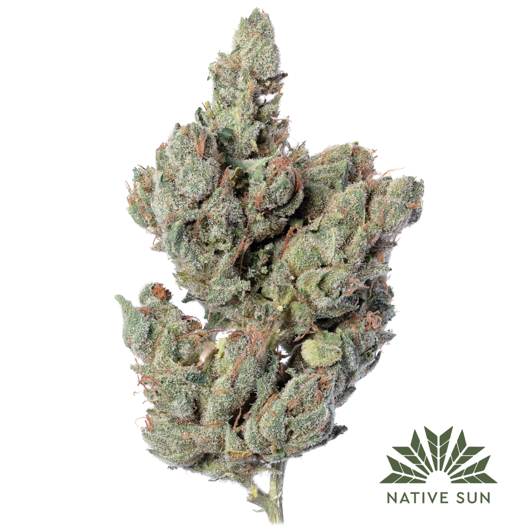 Photograph of product: Native Sun - Flower 3.5g - Kosher Kush
