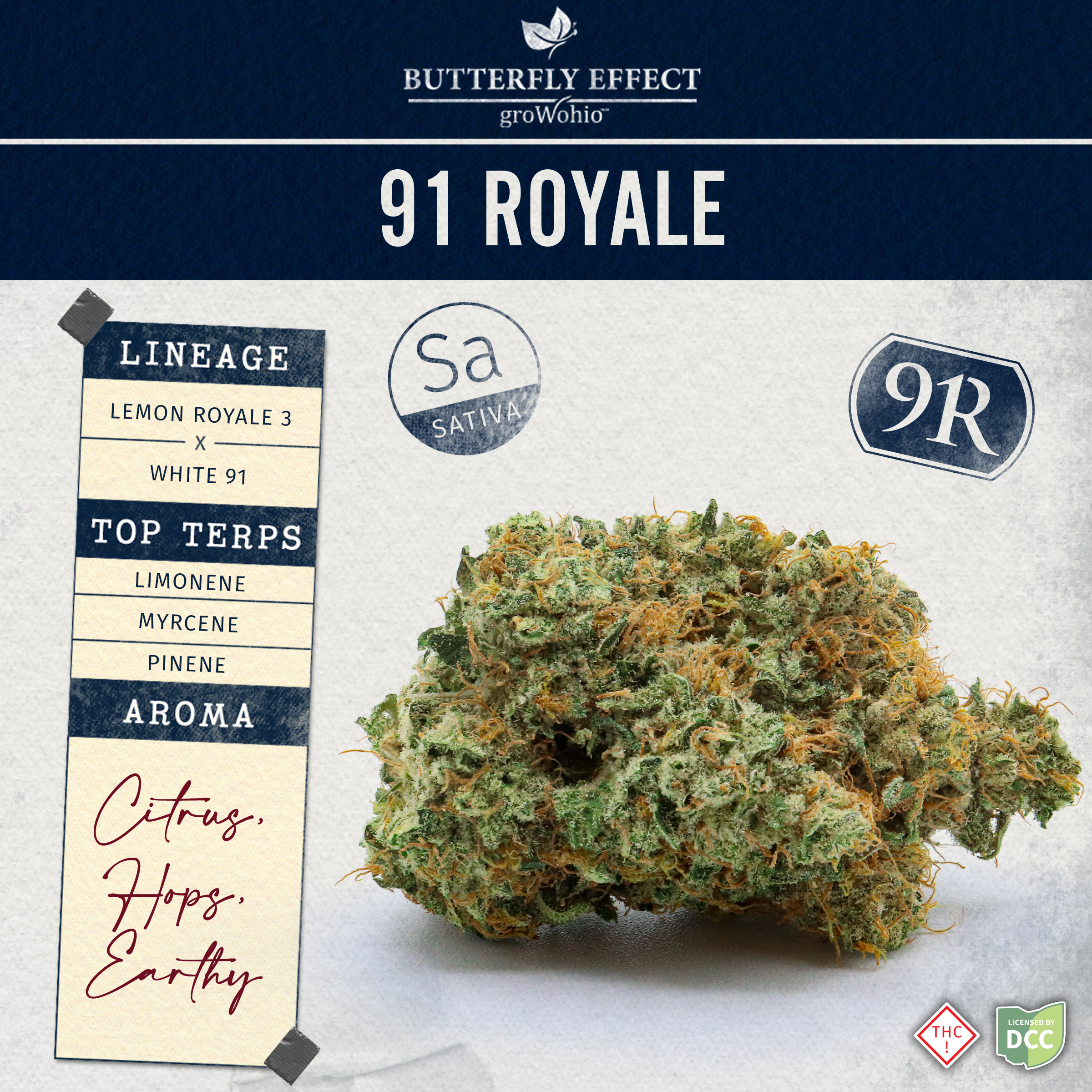 Photograph of Product: 91 Royale | 14.15g