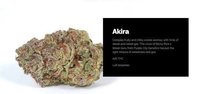 Photograph of product: Akira - Eighth