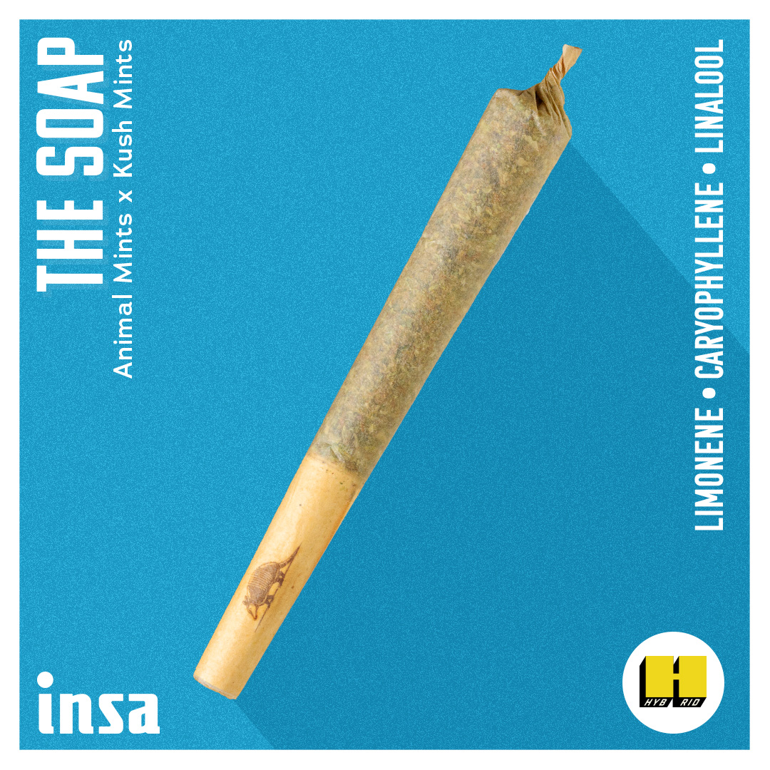 Photograph of product: Insa | The Soap | PRJ | 1g