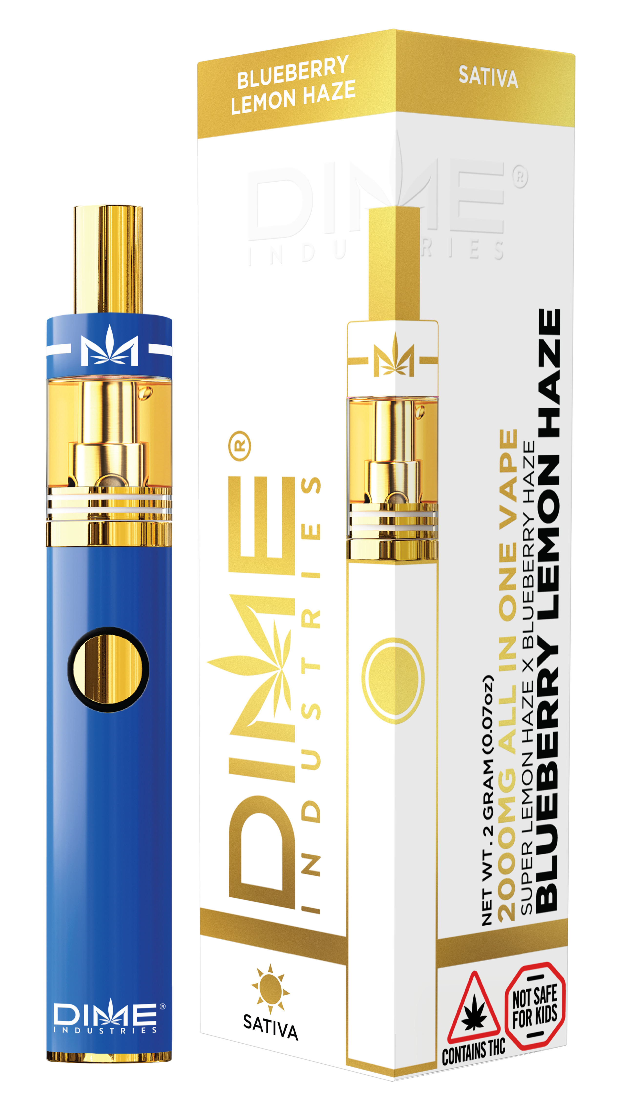 Photograph of product: Blueberry Lemon Haze (Disposable) | 2g