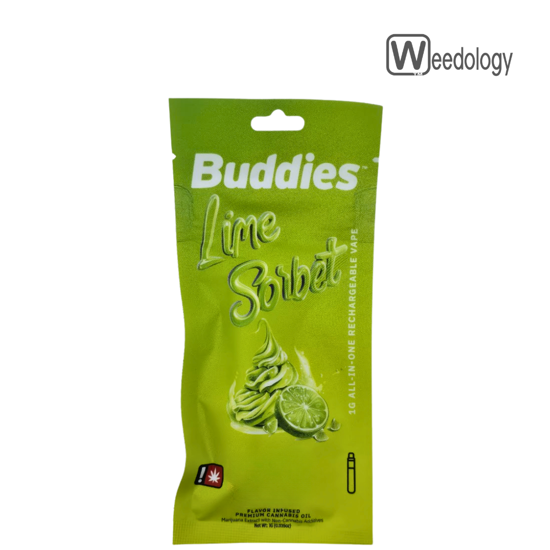 Photograph of product: Buddies 1g LIME SORBET FLAV-DST AIO