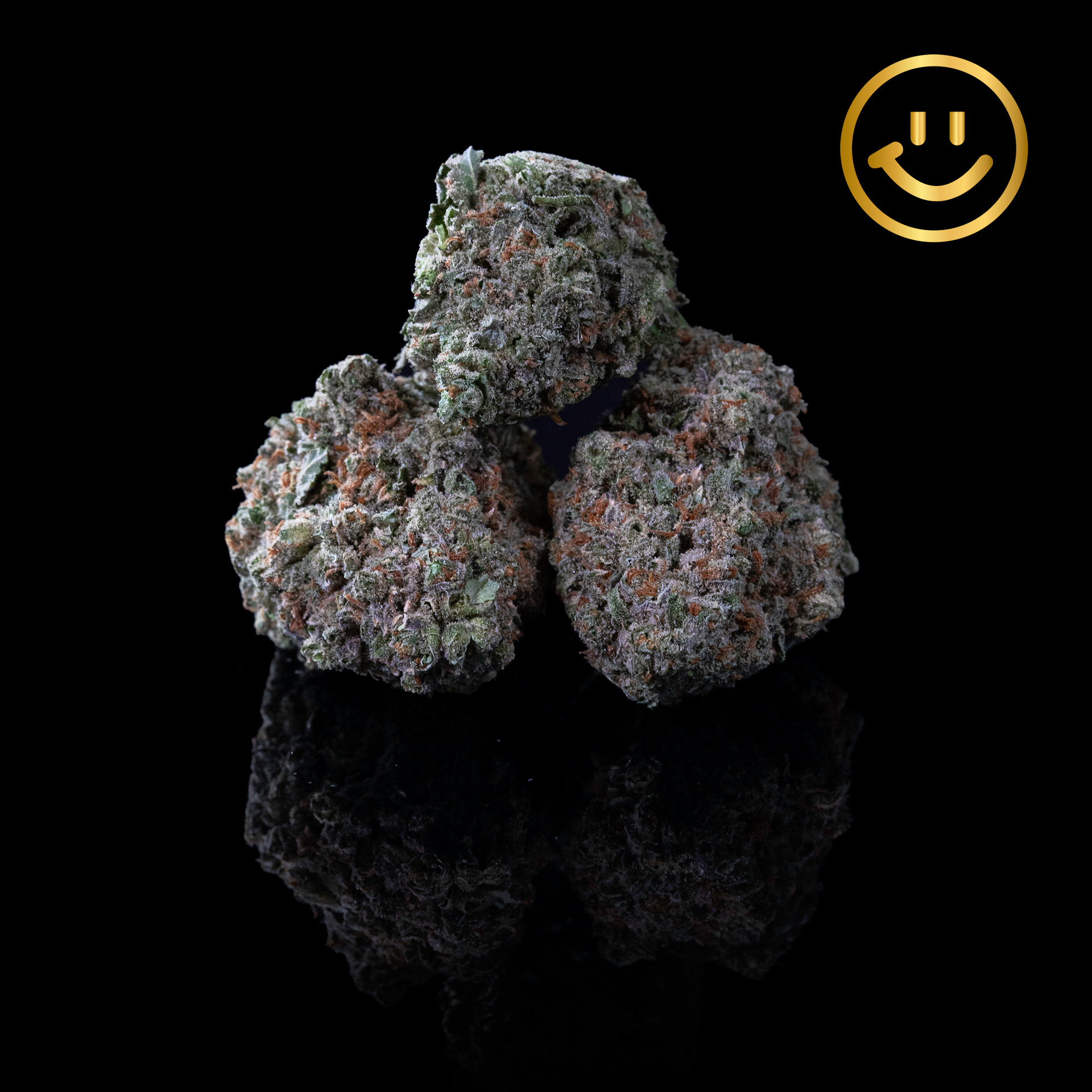 Photograph of product: Grown Rogue | Jack Herer | indoor flower