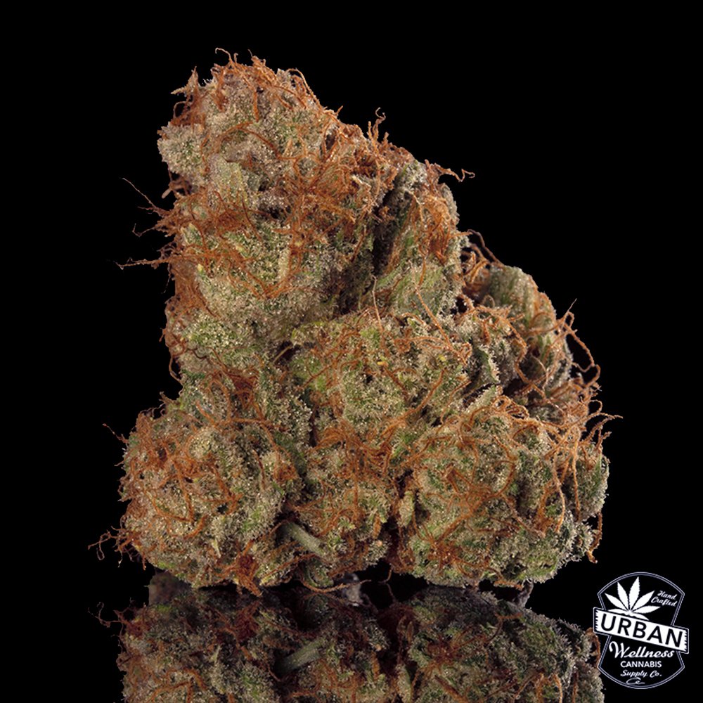 Photograph of product: - 3.5g - Sunkiss - Urban Wellness