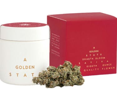 Photograph of product: Shasta Bloom | 3.5 - 