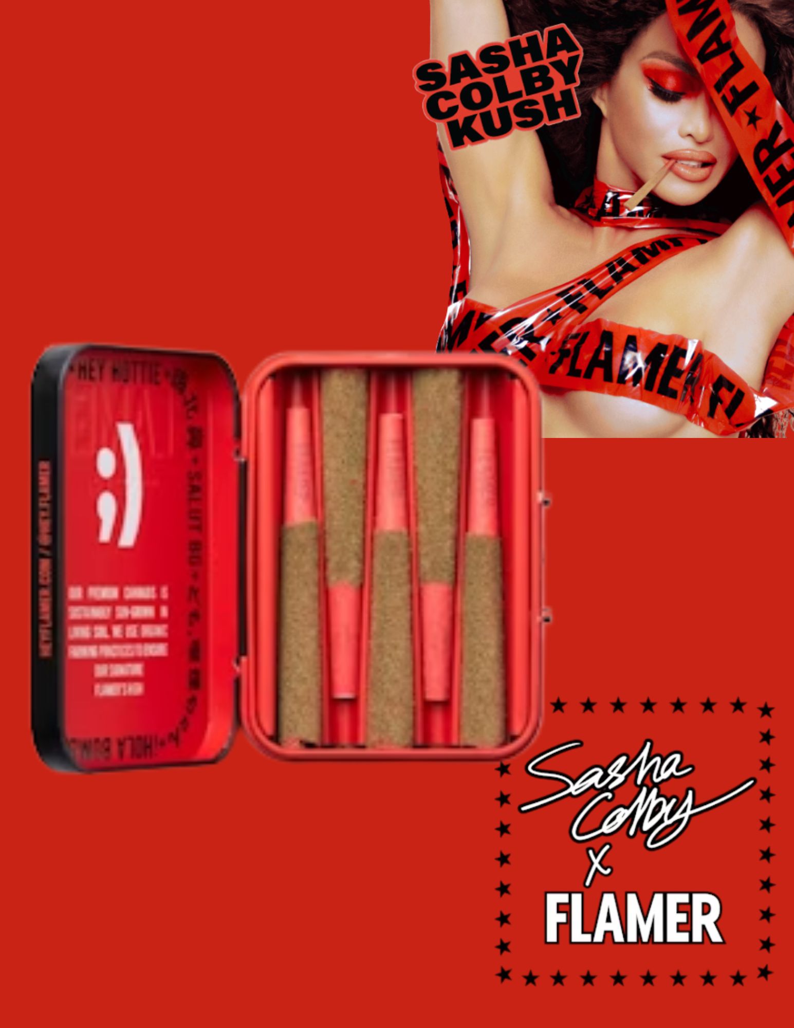 Photograph of product: Flamer | 5pk | Infused Prerolls | Sasha Colby Kush