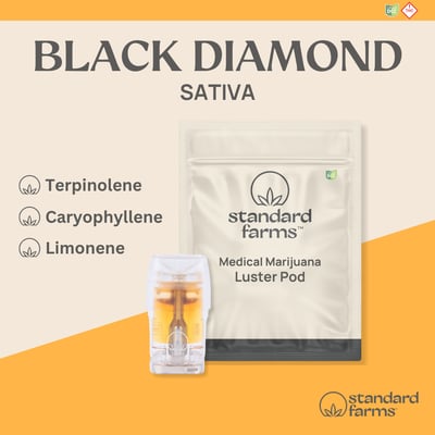 Photograph of product: Standard Farms - Pod - Black Diamond - 1g