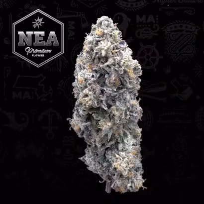 Photograph of product: NEA | Street Tartz | 3.5g
