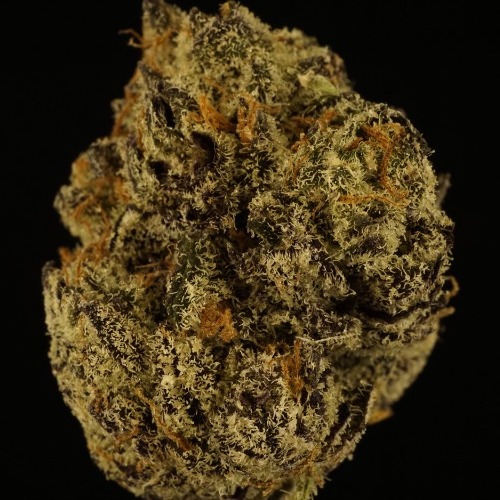 Photograph of product: Melody | 3.5g Bud | Chocolate Octane (H/I)