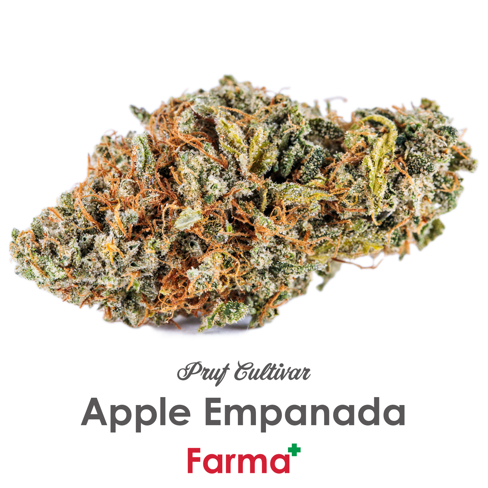Photograph of product: Pruf Cultivar Apple Empanada | R - 28g