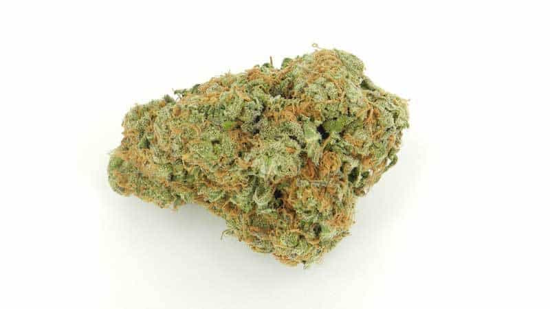 Photograph of product: Grand Daddy Purple - 3.5g