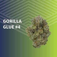 Photograph of product: GG #4 Whole Flower - 7g