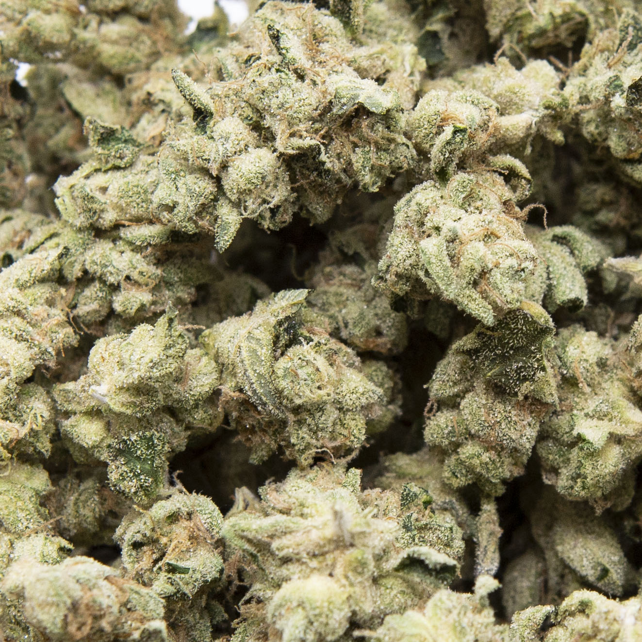 Photograph of product: Phatso (Oui'd) - 0.5g Preroll