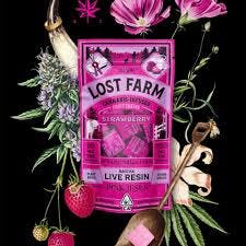 Photograph of product: Lost Farms Strawberry x Pink Jesus [10pk] (100mg) - 