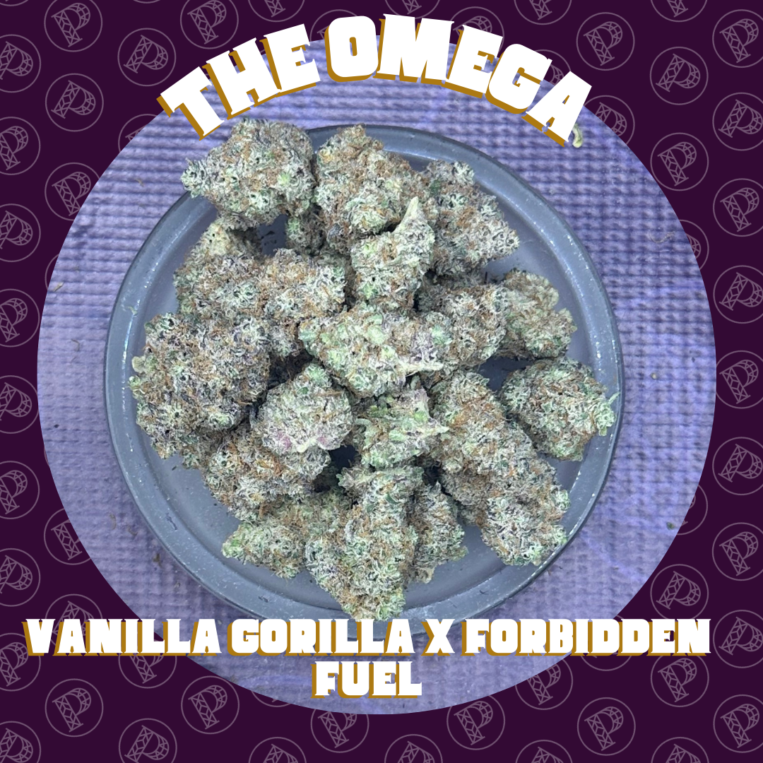 Photograph of product: Deep Creek - The Omega - Flight Shelf - 28g