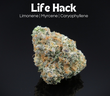 Photograph of product: Life Hack | 2.83g