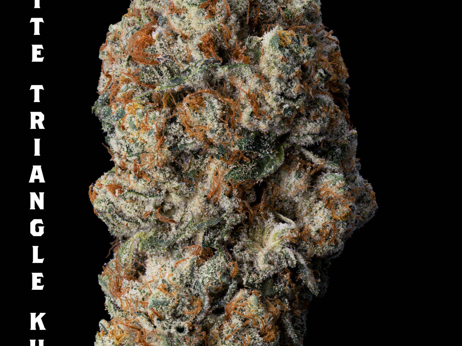 Photograph of product: Prohibition Herb - Flower - White Triangle Kush - Bulk - 28g