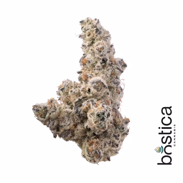 Photograph of Product: Drip (H) | Flower | 3.5g